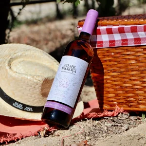 Picnic na vinha (2 pessoas)